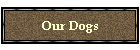 Our Dogs